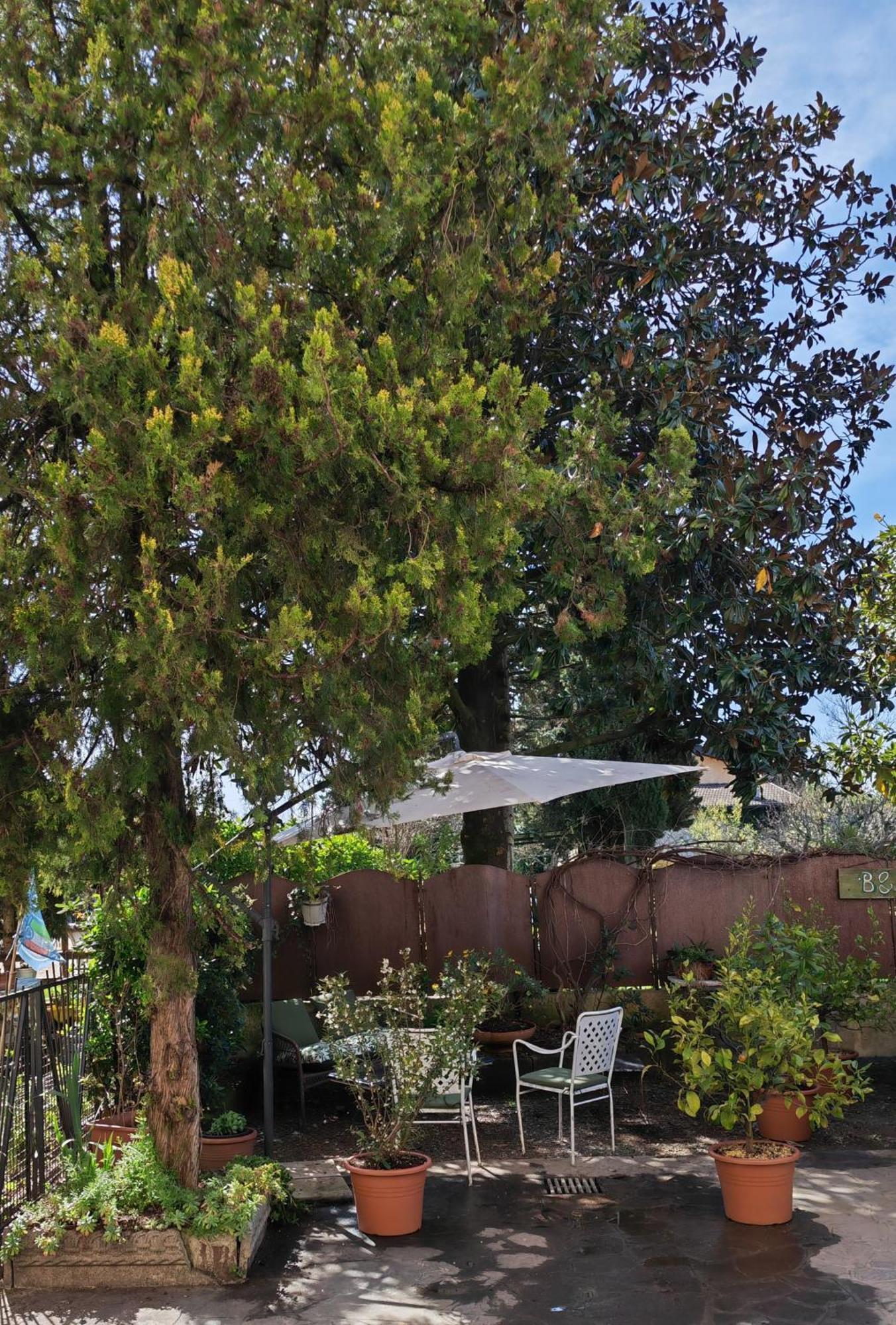 B&B Lamagia Di Corte Moronati Sirmione Exteriér fotografie